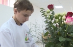 «Абилимпикс» стартовал