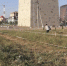 Лучшие косари Ингушетии состязались за главный приз - ГТРК