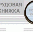 Более 18 тысяч работающих жителей Ингушетии выбрали электронные трудовые книжки вместо бумажных - ГТРК
